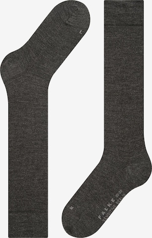 FALKE Over the Knee Socks 'Sensitive Berlin' in Grey: front