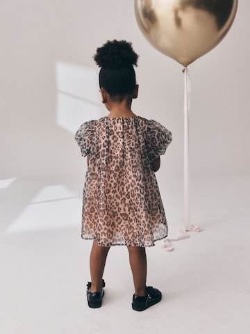 Next Dress in Brown