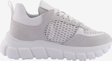 D.MoRo Shoes Sneakers in White