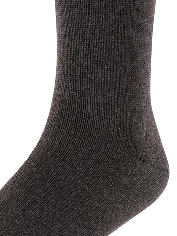 FALKE Socks 'Comfort Wool' in Grey