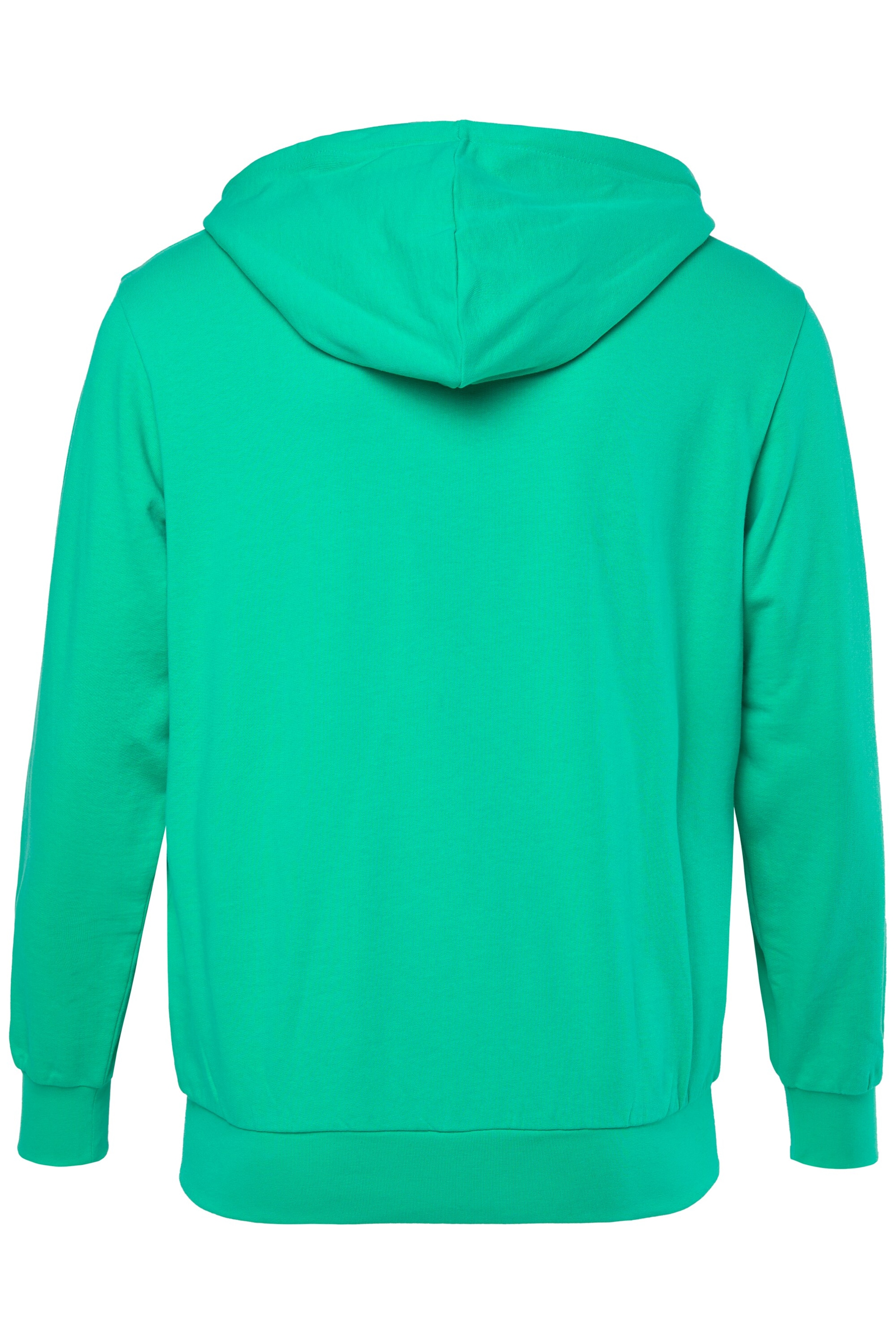 Men Plus Sweatshirt in Grün