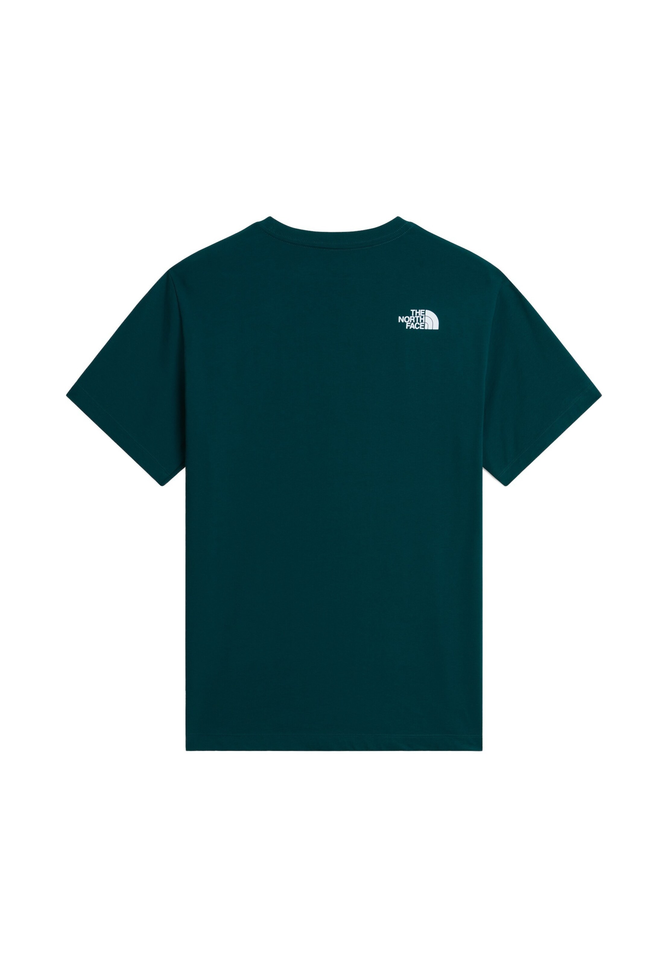 THE NORTH FACE Tričko 'NEVER STOP EXPLORING' – zelená