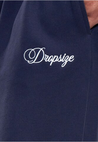 regular Pantaloni di Dropsize in blu