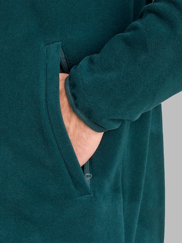 Jachetă  fleece funcțională 'Essentials' de la ADIDAS TERREX pe verde