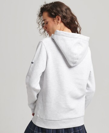 Felpa di Superdry in grigio