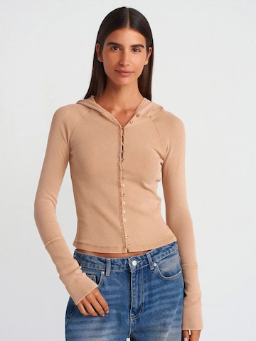 T-shirt Dilvin en marron : devant