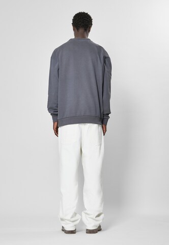 9N1M SENSE Sweatshirt in Grau
