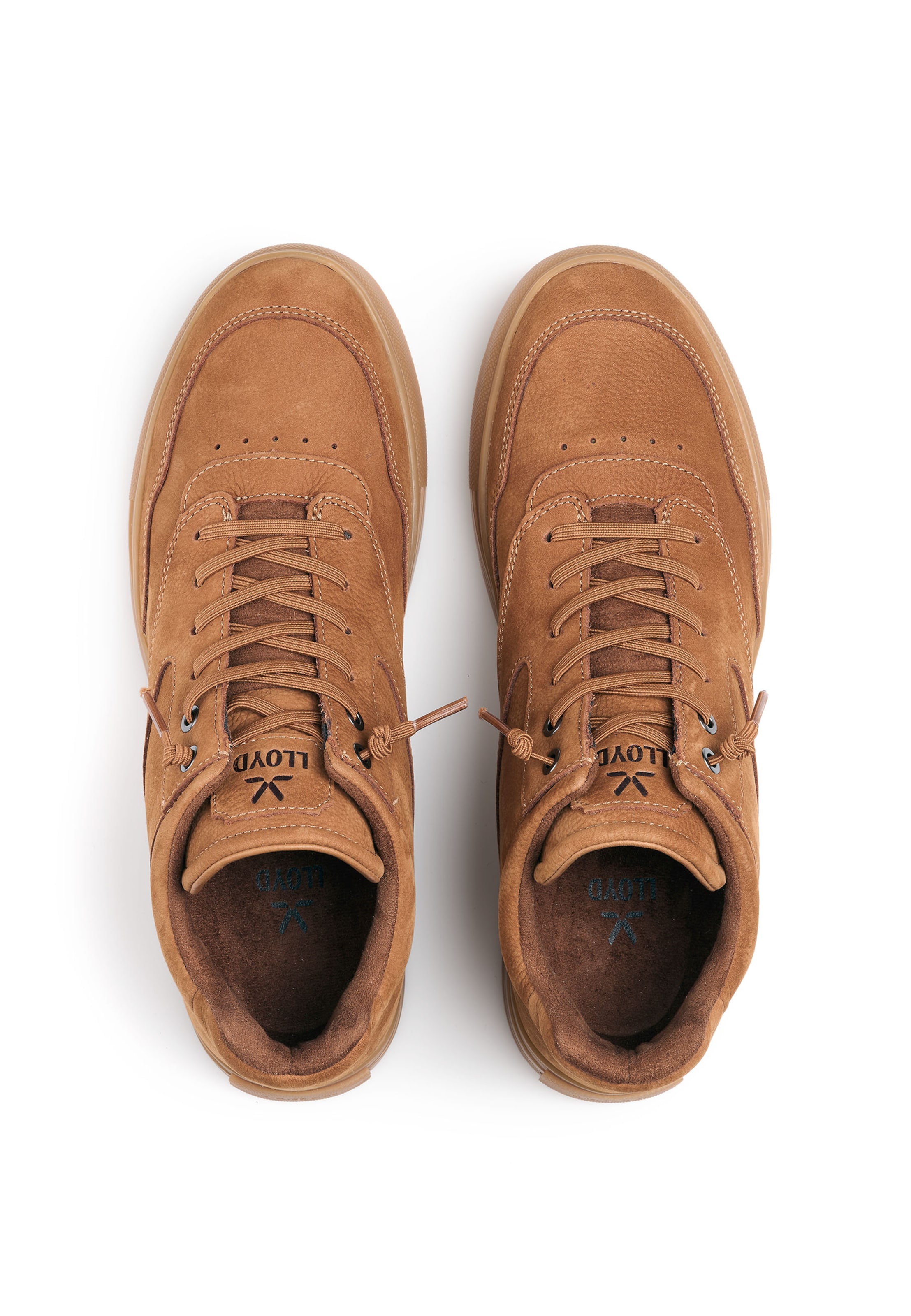 Baskets hautes 'ARENA' LLOYD en marron