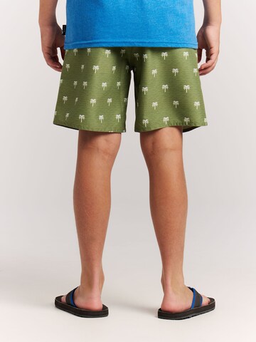 PROTEST Board Shorts 'PRTCalvin JR' in Green