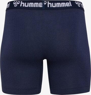 Hummel Boxershorts in Blau