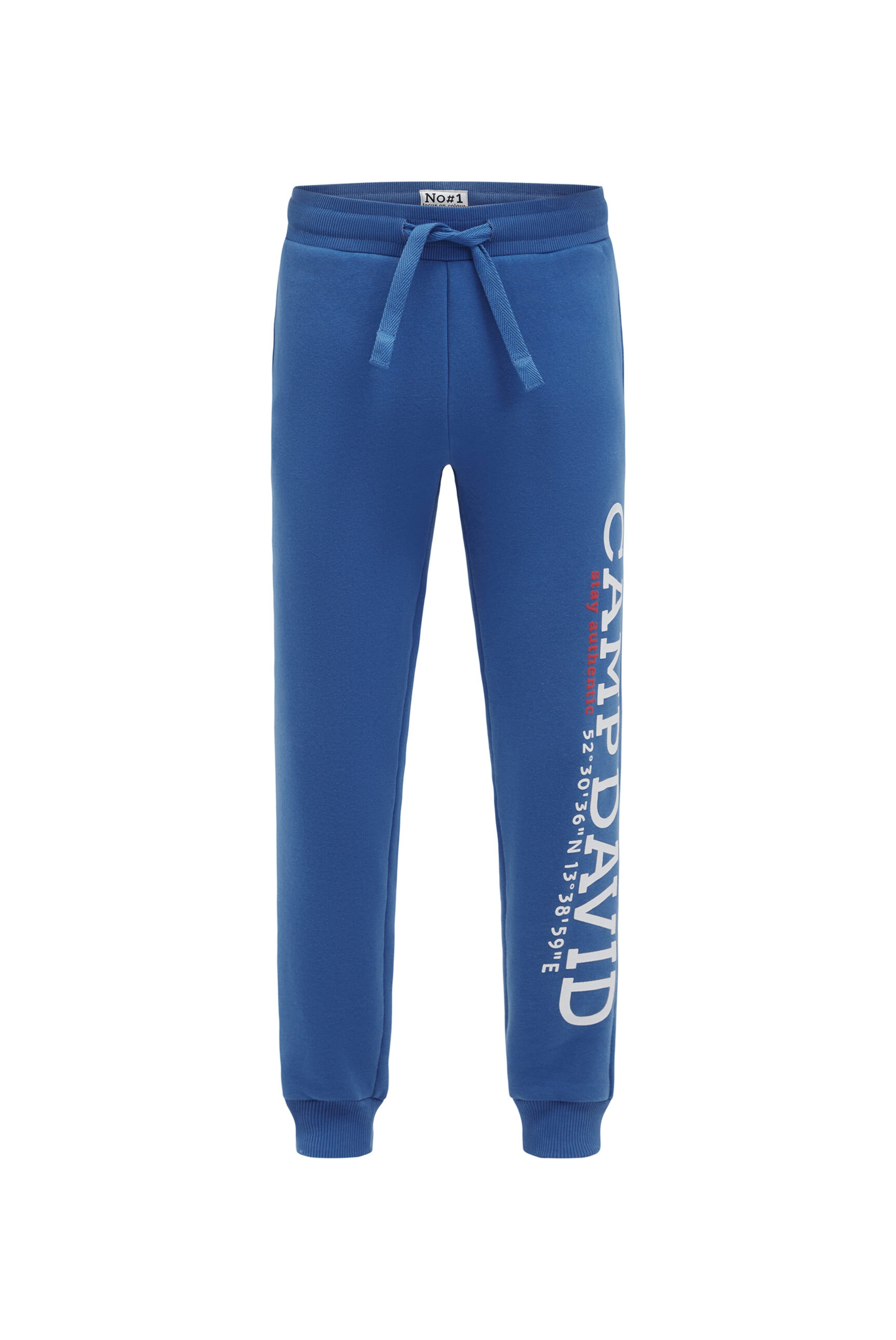 CAMP DAVID Tapered Pants in Blue: front