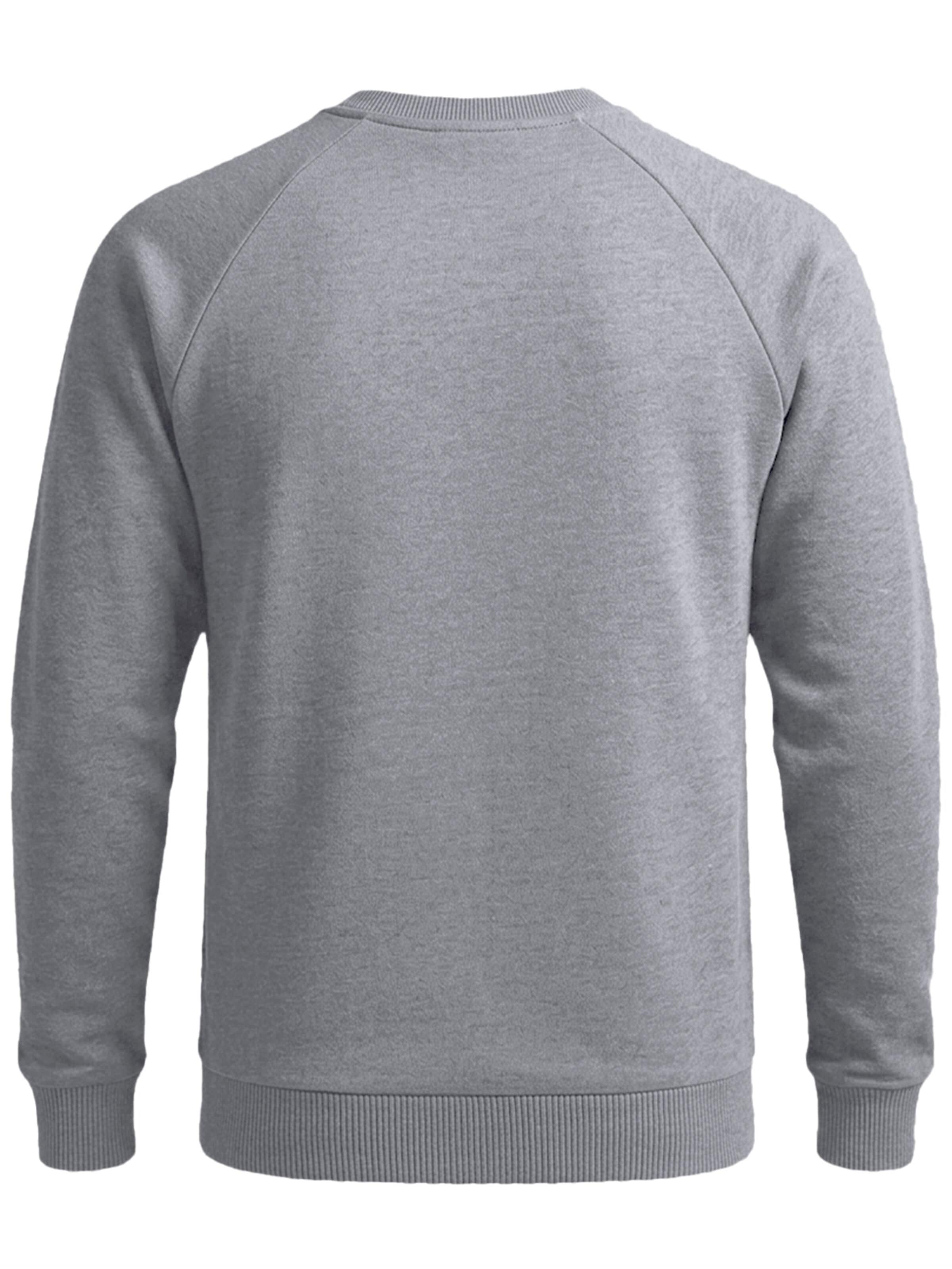 FORSBERG Sweatshirt 'mit Frottee Logo' in Grey