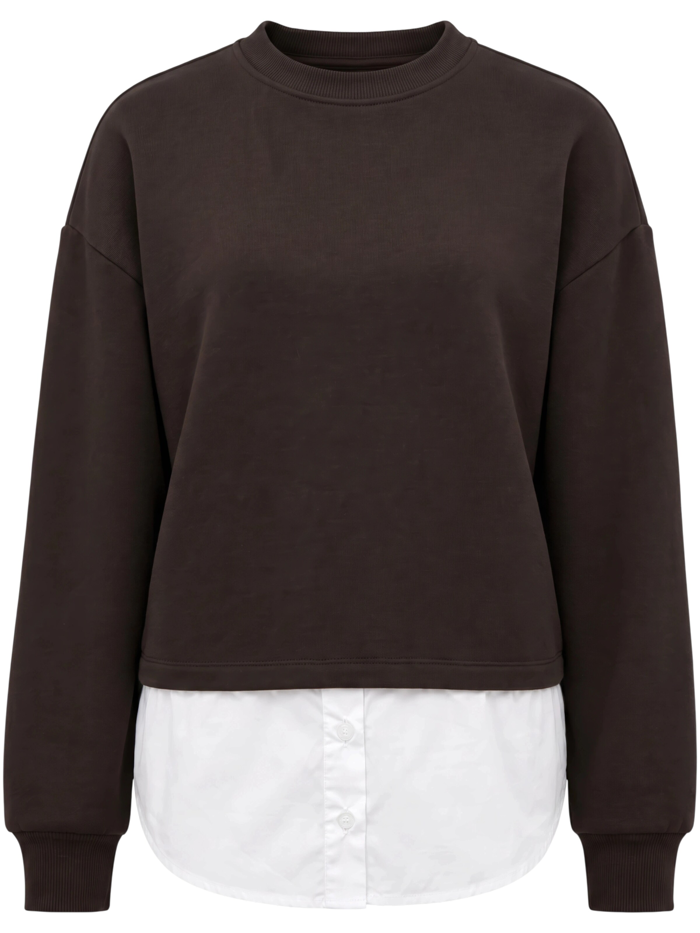 ABOUT YOU Sweatshirt 'Dorina' in Braun: Vorderseite