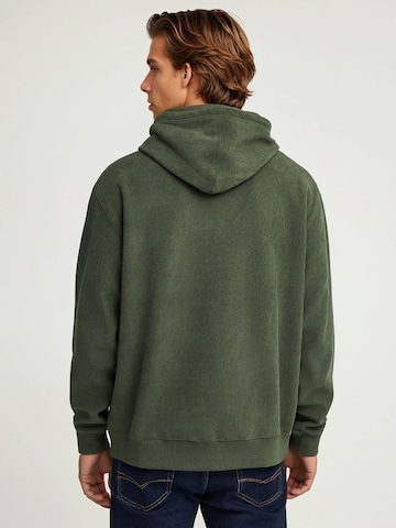 Funky Buddha Kampsun, värv roheline