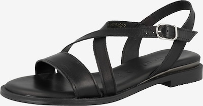 TAMARIS Sandalen met riem in de kleur Zwart, Productweergave
