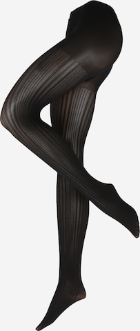 FALKE Tights 'Prime Rib' in Black: front