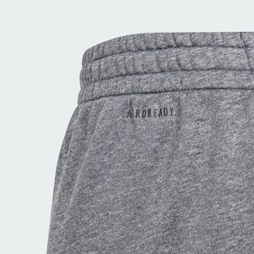 regular Pantaloni sportivi di ADIDAS SPORTSWEAR in grigio