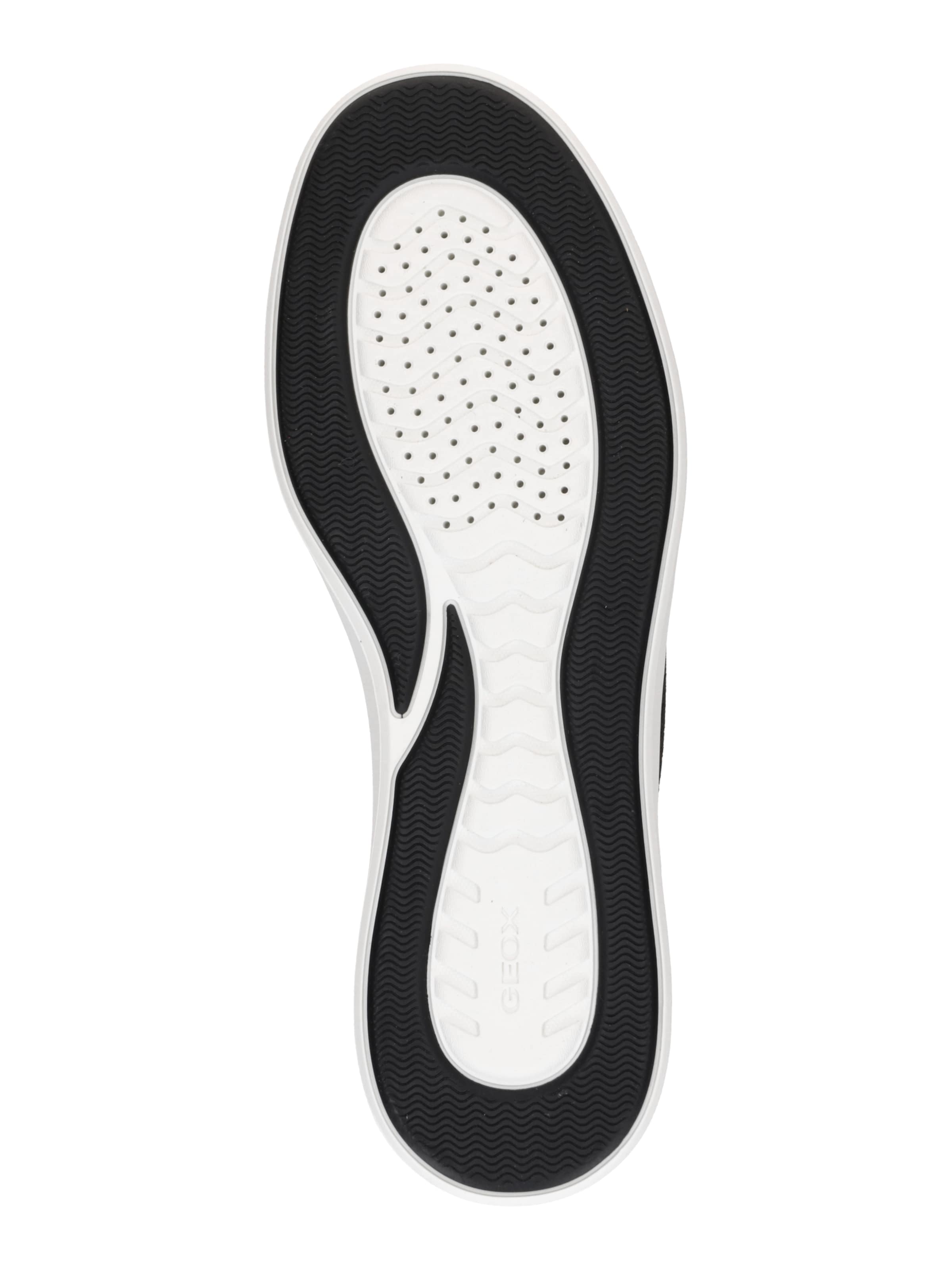 Baskets basses 'BALTMOORE' GEOX en noir