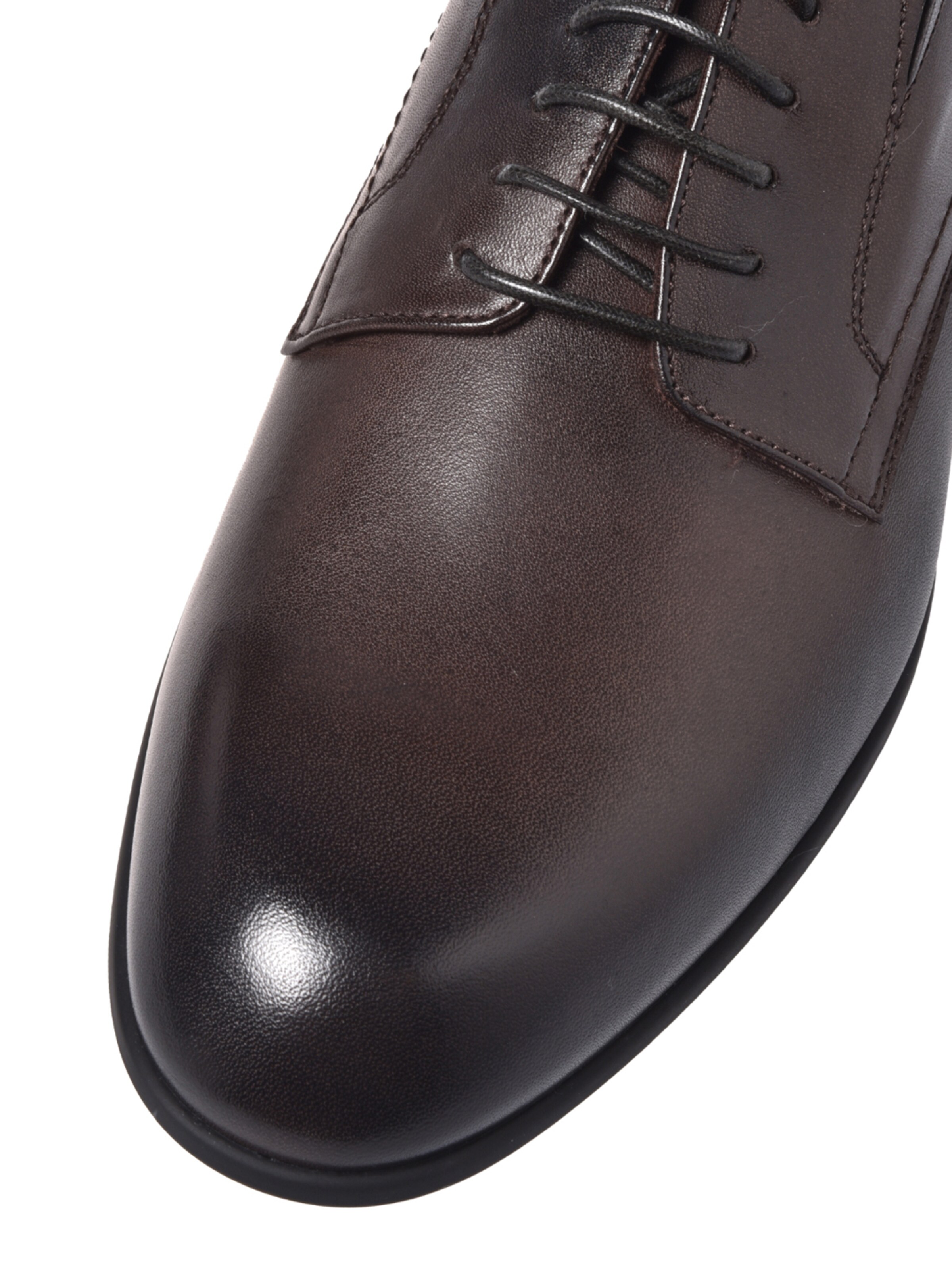 Chaussure à lacets BALDININI en marron