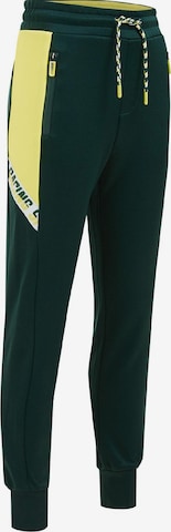 regular Pantaloni di WE Fashion in verde