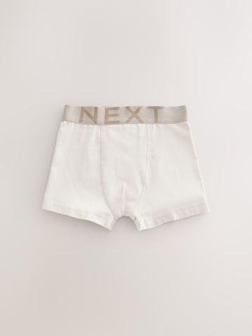 Next Spodní prádlo – modrá