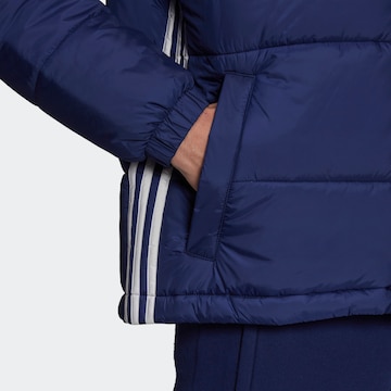 ADIDAS ORIGINALS Winter Jacket in Blue