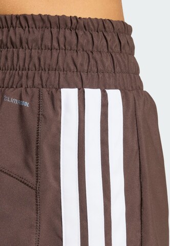 ADIDAS PERFORMANCE - regular Pantalón deportivo 'Pacer' en marrón