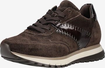 Baskets basses GABOR en marron : devant