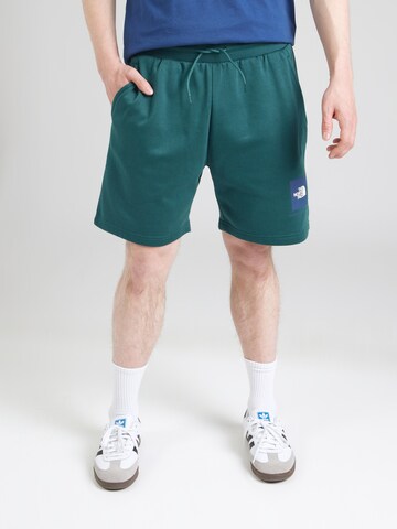 regular Pantaloni di THE NORTH FACE in verde: frontale