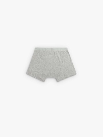 Scalpers Boxer shorts in Grey