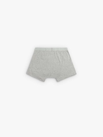 Scalpers Boxershorts in Grau