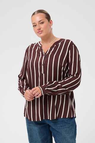 KAFFE CURVE Blouse 'KCSida' in Brown: front