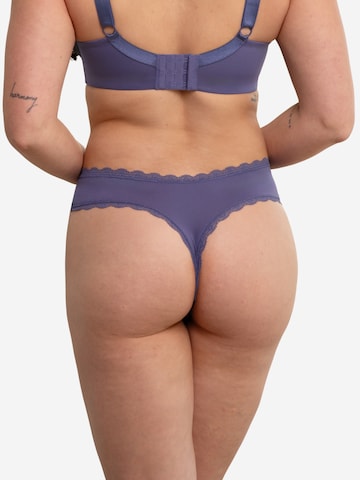 SugarShape String 'Pure' in Purple