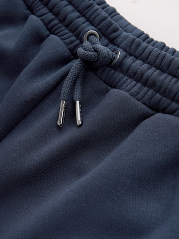Next Loosefit Broek in Blauw