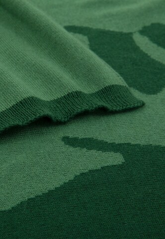 LACOSTE Blankets 'Reflet' in Green