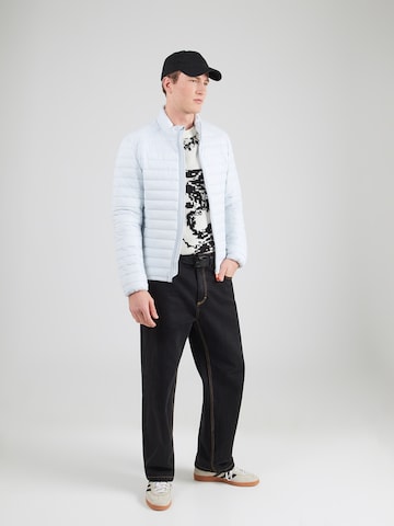 SAVE THE DUCKZimska jakna 'ALEXANDER' - siva boja