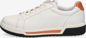 CAPRICE Sneakers in White