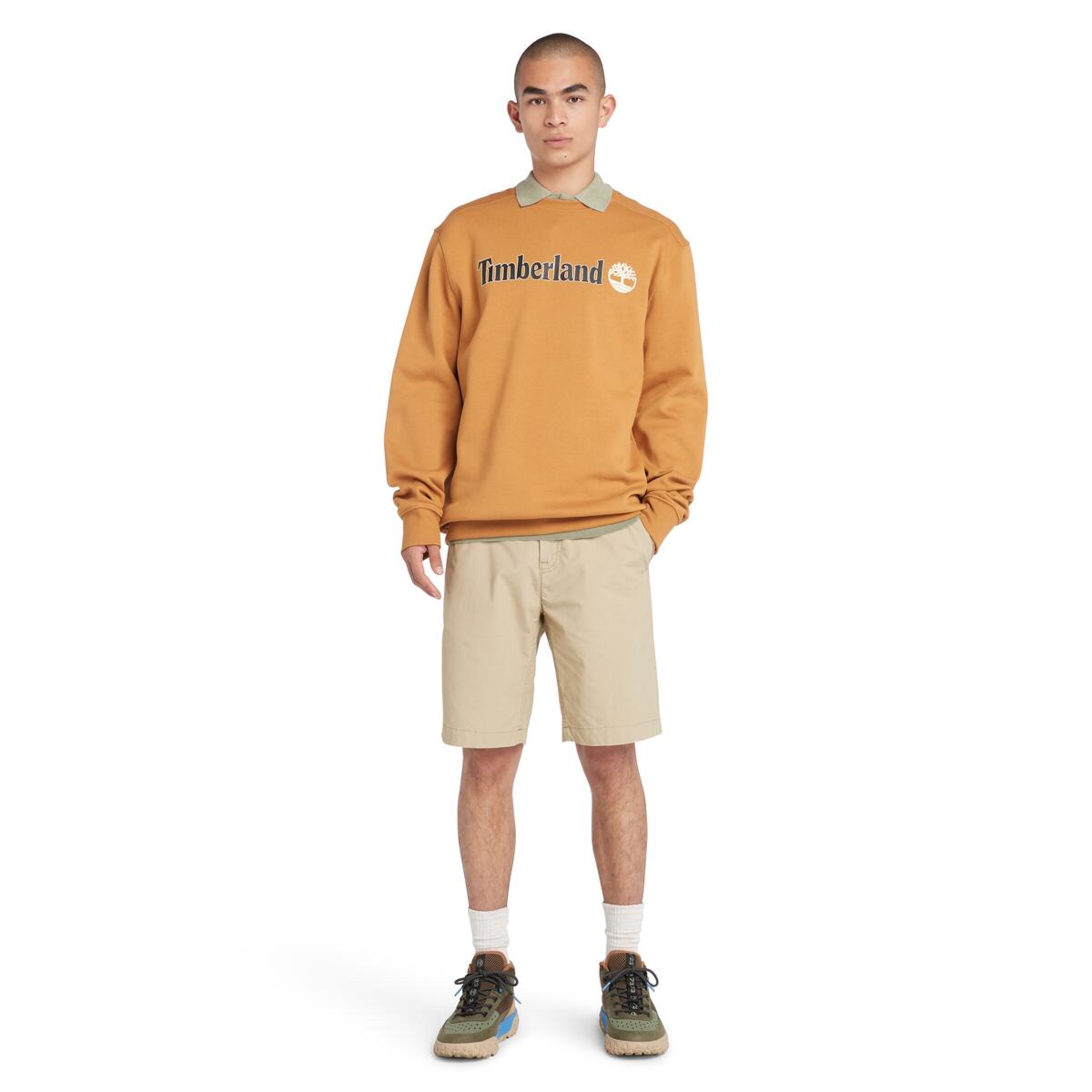 TIMBERLAND Regular Pants in Beige