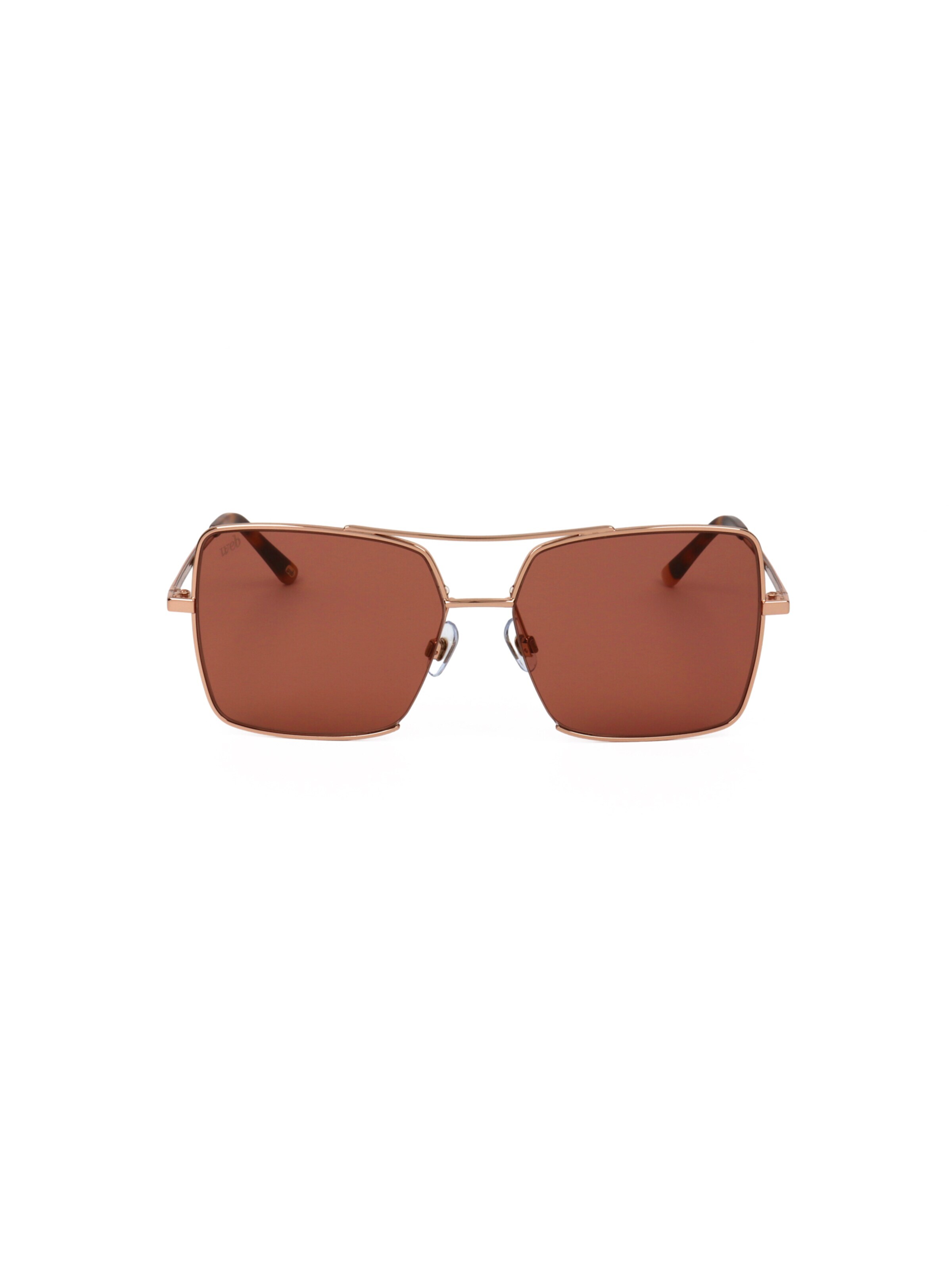 Occhiali da sole 'WE0210' di Web Eyewear in marrone: frontale