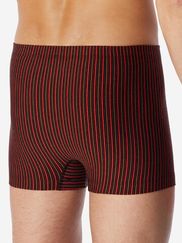 SCHIESSER Boxershorts '95/5 Essentials - Cotton' in Gemengde kleuren