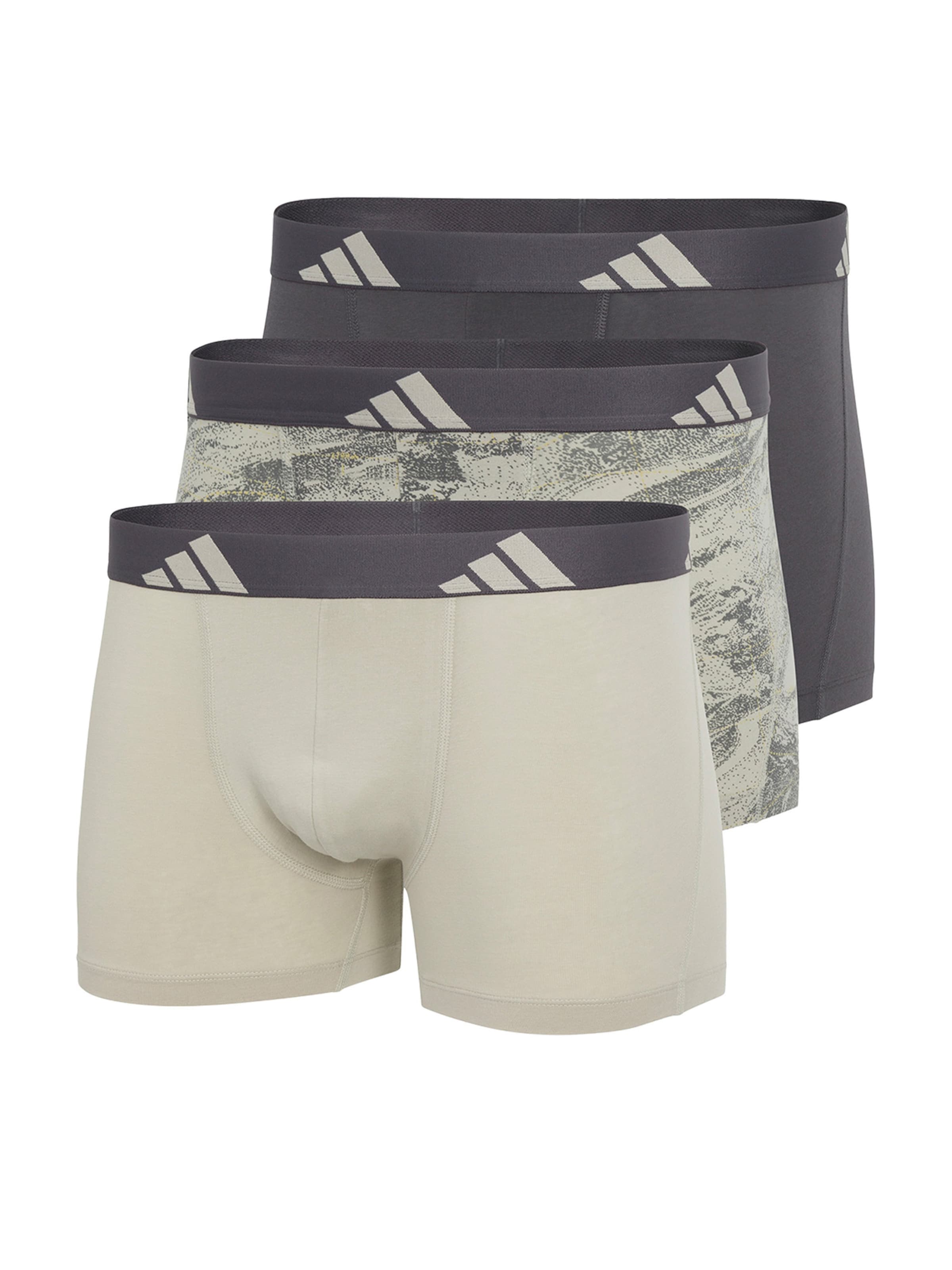 ADIDAS ORIGINALS Trunk 'Active Flex' in Grau: Vorderseite