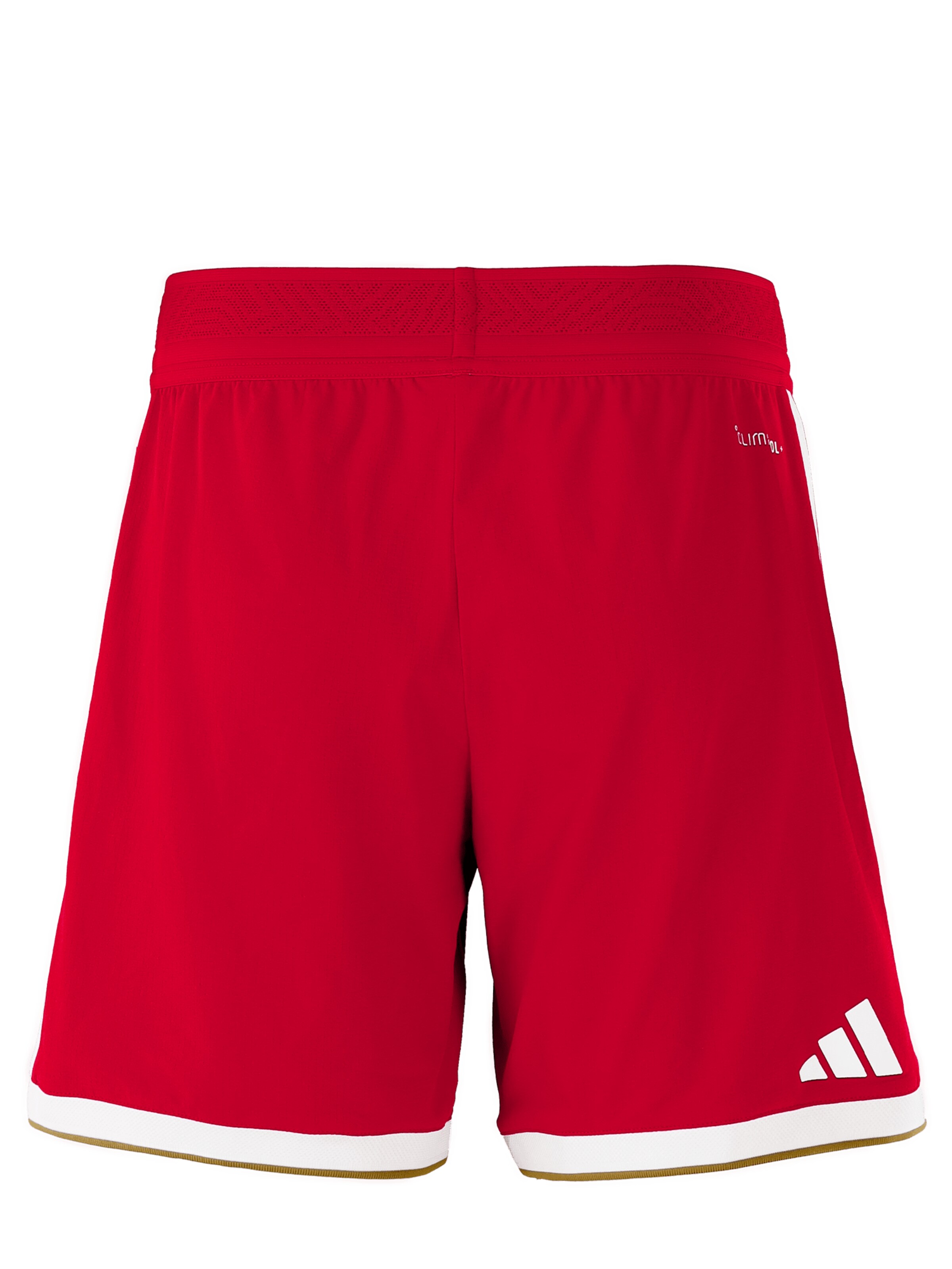 ADIDAS PERFORMANCE Loosefit Shorts in Rot