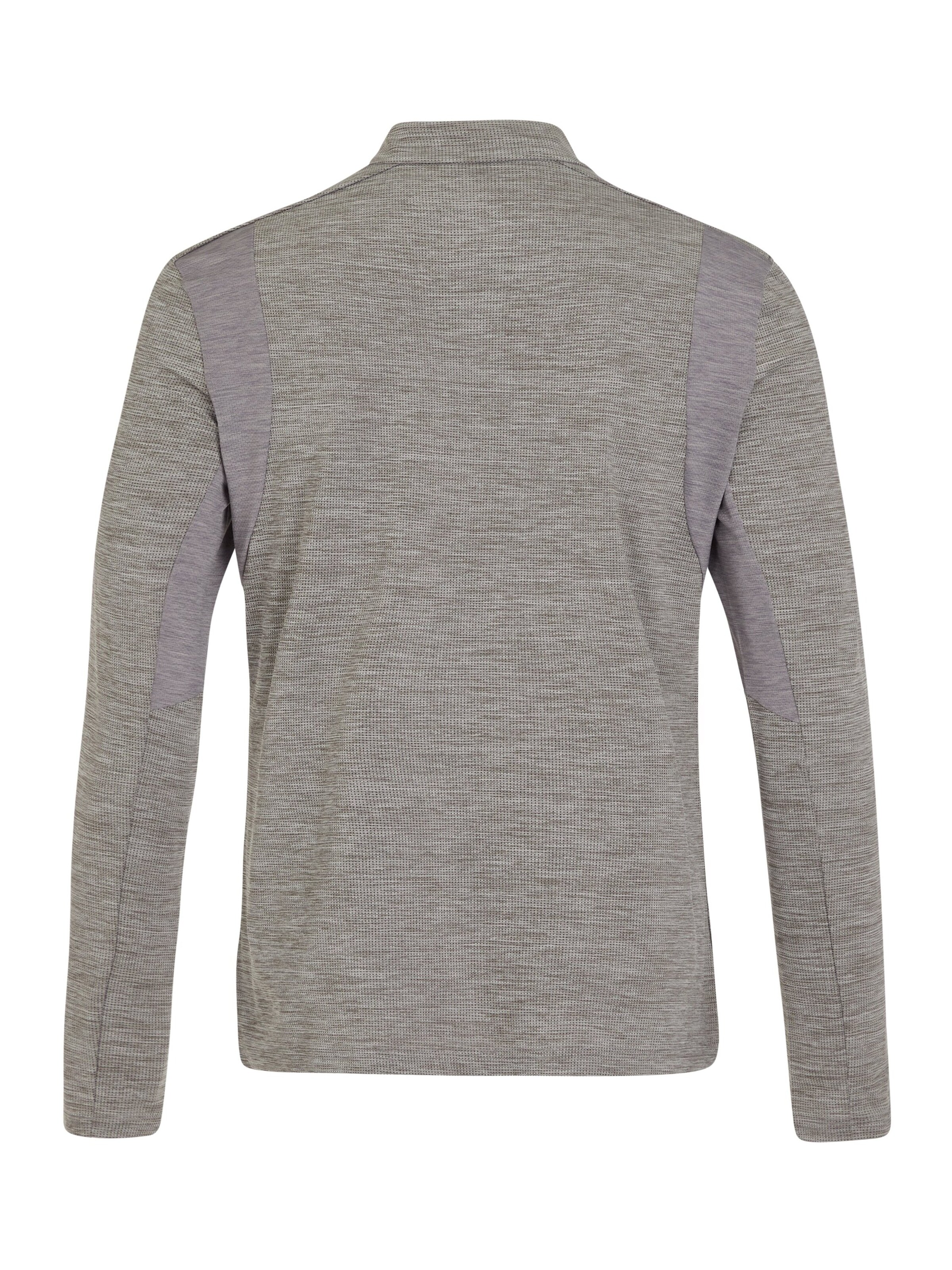 PROTEST Sportsweatshirt 'PRTSTRAYED'‌ in Grau