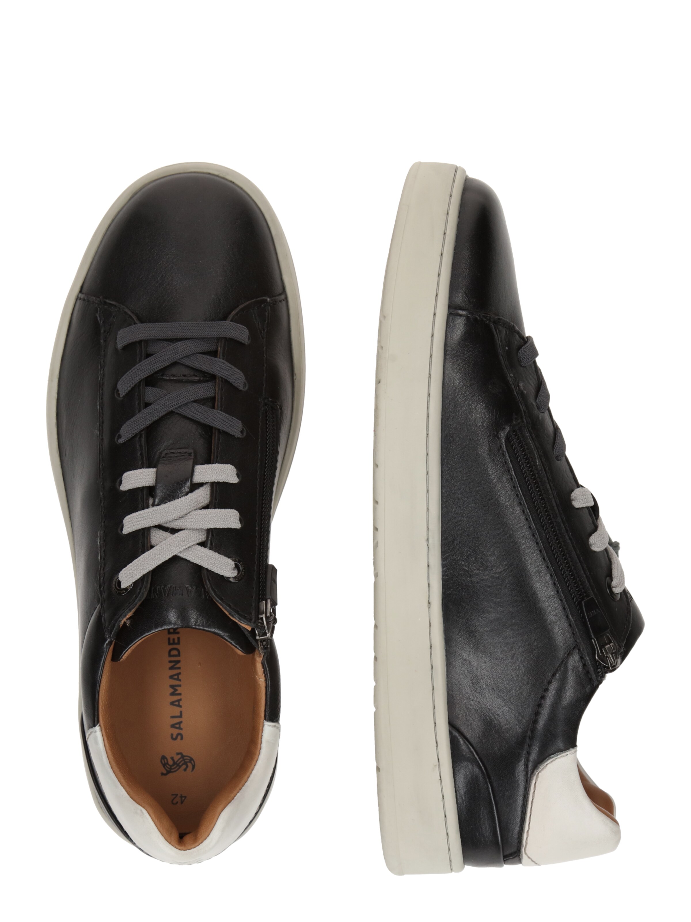 SALAMANDER - Zapatillas deportivas bajas en negro