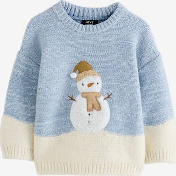 mėlyna Next Megztinis: priekis