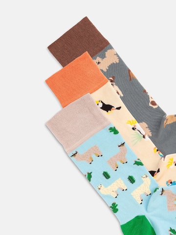 Chaussettes 'Animal Attitude' DillySocks en mélange de couleurs