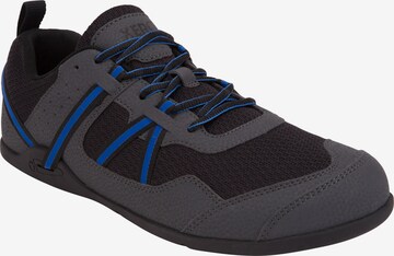 Xero Shoes Sneaker 'Prio' in Grau: predná strana