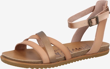 Blowfish Malibu Sandalen met riem in Bruin: voorkant