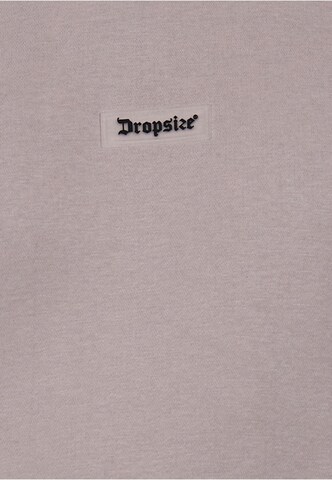 Felpa di Dropsize in grigio