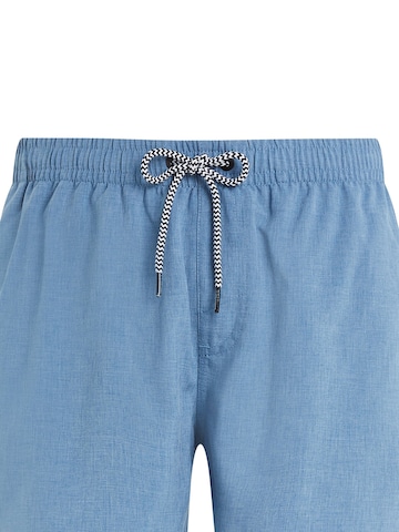 PROTEST Zwemshorts 'Davey' in Blauw